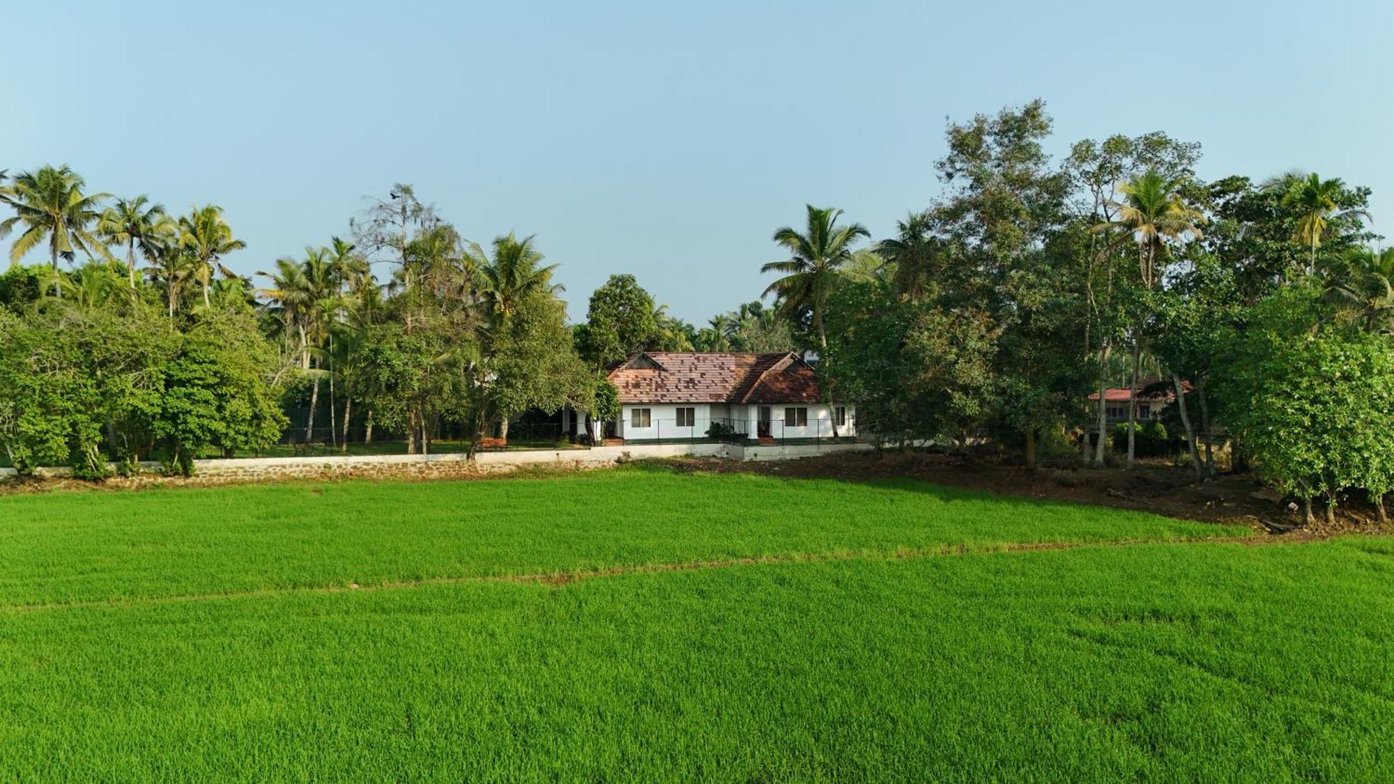 Paadam By The Backwaters Kumarakom Exteriér fotografie
